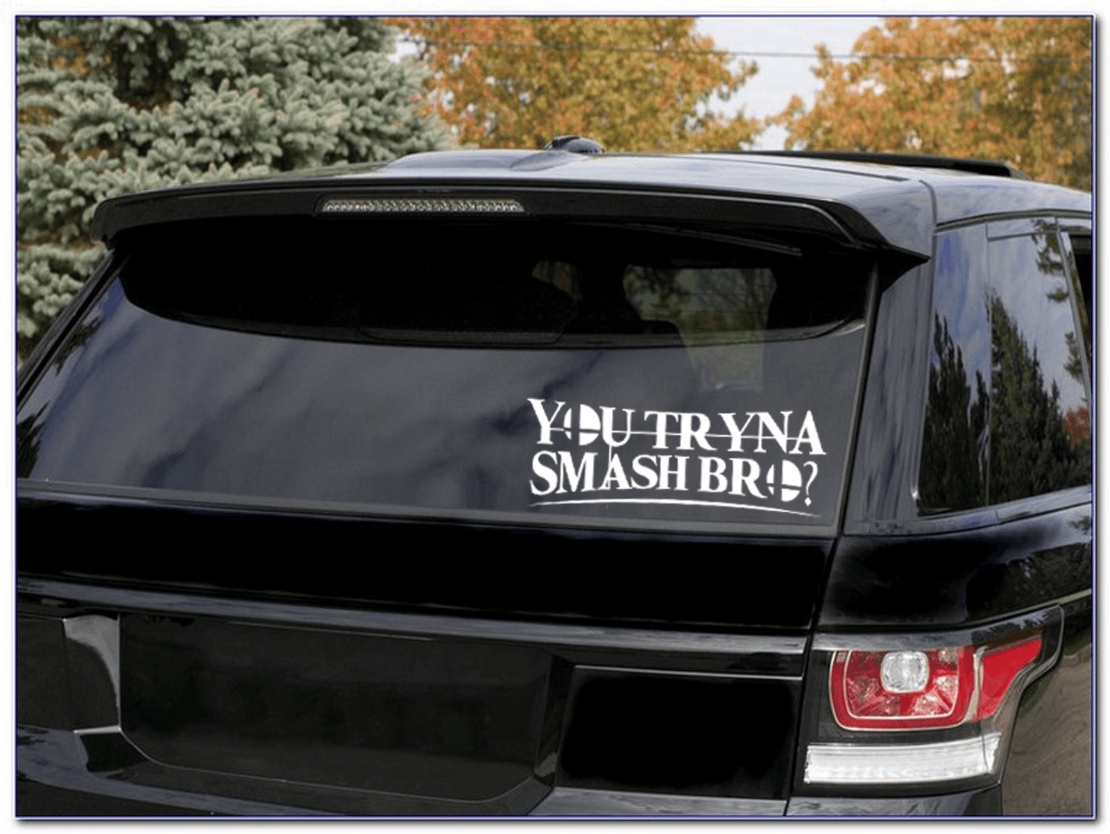 You Tryna Smash Bro? Vinyl Decal (SSBU) - Teddymuffs Designs